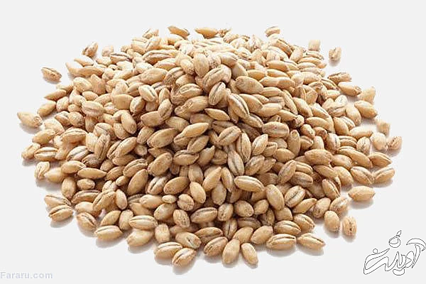طرز تهیه حلیم خانگی؛ ویژه ماه رمضان گندم پوست کنده